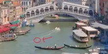 Delfino nel Canal Grande a Venezia, il sindaco Venturini: "Tutelarne l'incolumit&agrave;"