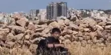 Coloni sparano ad attivisti israeliani che difendono i Palestinesi
