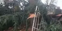 Maltempo di Ferragosto: alberi sulle strade di Spigno Monferrato: nubifragio ad Alessandria