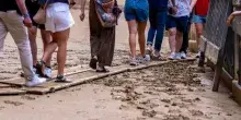 La pioggia sorprende piazza del Campo: il Palio di Siena rinviato di un giorno