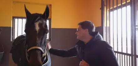 Addio a Varenne, il cavallo italiano leggenda dell&rsquo;ippica