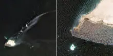 Petroliera incagliata in Oman, la marea nera si allarga: le immagini dal satellite