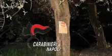 Droga dentro l'ulivo, poi le indicazioni via whatsapp: arrestato pusher a Massa Lubrense