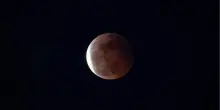 Dopo l'eclissi di Sole arriva quella di Luna: tra gioved&igrave; e venerd&igrave; si colorer&agrave; di rosso sangue
