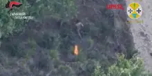 Vibo Valentia, scoperto dal drone mentre appicca il fuoco nel bosco: arrestato
