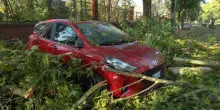 Cremona, il giorno dopo la tromba d'aria: "Un disastro"