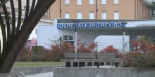 Treviso, preso in giro dai bulli si getta dal primo piano della scuola: grave un 13enne