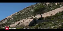 Tg2 Dossier - Montecristo &egrave; un tesoro - Puntata del 27/09/2026