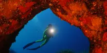 Subacquatica 2026, le immagini sono straordinarie