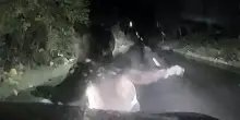 &ldquo;Faccia a faccia&rdquo; con un orso: il muso sul parabrezza di un'auto. La scena ripresa dalla dashcam