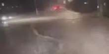 La strada come un fiume, l'auto solca l'acqua lentamente: bomba d'acqua a Roma