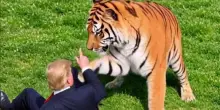 Il ragazzo sbranato da una tigre aveva problemi mentali, bufera sui post di Trump