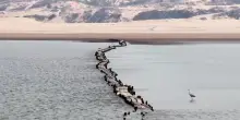 L'antico ponte dai "mille occhi" riemerge dalle acque del lago di Poyang