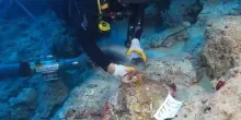 Trovato il relitto pi&ugrave; antico al mondo al largo della costa turca: ha 4.500 anni