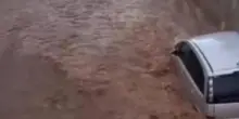 Auto sommerse, furia dell'acqua: diventa fango e travolge tutto sull'Isola d'Elba