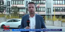 Ricina, trovate piante vicino alle scuole legate alla famiglia Di Vita: sopralluoghi della polizia