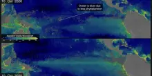 Gli oceani cambiano colore, il Pacifico diventa pi&ugrave; blu. Allarme: Super El Ni&ntilde;o senza precedenti