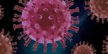 Virus Shamonda, Societ&agrave; d'igiene "pi&ugrave; sorveglianza su malattie infettive"