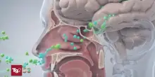 Trasmettere gli odori a distanza con l'aiuto dell'AI