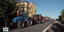 Protesta contro il caro carburante: blocchi stradali e disagi al sud