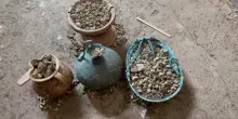 Scoperto a Pompei l'armadio di una donna, all'interno vasi, collane e monete