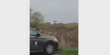 Elicottero caduto in Bosnia, le prime immagini