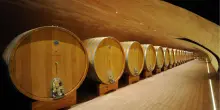Maxi furto di vini pregiati da 5 milioni nell'azienda Marchesi Antinori a Cortona