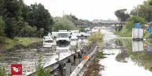 Maltempo al Sud. Doppia tromba d'aria a Marsala, alberi caduti a Napoli