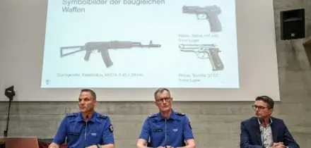 Sparatoria al rave in Svizzera, l'uomo arrestato "soffre di problemi mentali" confermano inquirenti