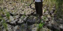 El Ni&ntilde;o di "proporzioni gigantesche": l&rsquo;Onu lancia l&rsquo;allarme per i prossimi mesi