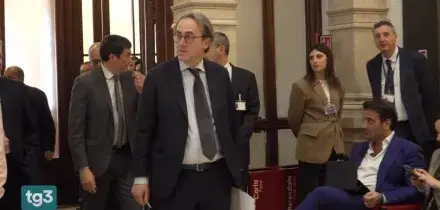 La vittoria AfD, le reazioni dell'opposizione in Italia: "Campanello d'allarme per tutta l'Europa"