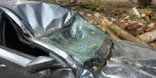 Vetri rotti, carrozzerie sfondate: i danni del maltempo a Milano dopo la tempesta di tuoni
