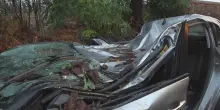 Maltempo a Roma, albero cade su un'auto: ferito l'autista a bordo