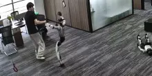 Il robot "si ribella" e prende a calci un ingegnere in Cina: colpo di kung fu