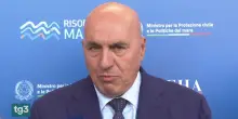 Il ministro Crosetto: "Ripristinare traffico navi italiane attraverso lo stretto di Bab el-Mandeb"