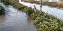 Fiume Lambro in piena a Monza: le immagini dal drone
