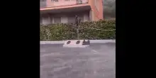 Nubifragio a Roma: la zona nord allagata, strade come fiumi. Inondata anche la metro (VIDEO)