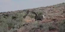 Residenti palestinesi denunciano: bulldozer israeliani sradicano ulivi alla vigilia della raccolta