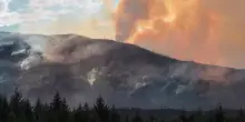 Gli esperti lanciano l'allarme: possibile emergenza umanitaria per il "super El-Ni&ntilde;o"