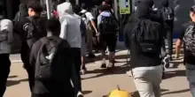 Modena, spingono i clienti e saccheggiano gli scaffali, il raid dei giovani all'assalto del discount