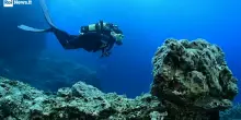 Subacquatica 2026 chiude a Ponza e apre a Ventotene. Acampora: "Bellezza volano economico e sociale"