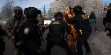 Minneapolis, gli agenti dell'Ice arrestano un comico vestito da giraffa tra le proteste dei presenti