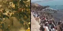 Ceuta: Elon Musk paragona su X i migranti a una invasione di zombi