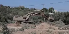 Cisgiordania, la guerra degli ulivi: i militari israeliani abbattono migliaia di piante secolari