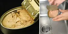Tonno, buttare l’olio nel lavandino è un errore. L’esperto “Vi spiego perché”