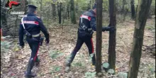 Pusher accoltellato nei boschi, cosa hanno fatto tre carabinieri: atroce