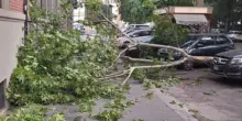 Maltempo sul capoluogo italiano, alberi sulla città. Cosa sta succedendo e dove