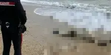 “Sì, è lui”. Orrore sulla spiaggia italiana: scomparso da ieri, il figlio l’ha riconosciuto