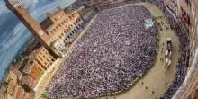 Palio di Siena rinviato, cos’è successo nelle ultime ore