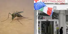 “Saliti a 4 in rianimazione” West Nile in Italia, scoperto un focolaio del virus in Italia